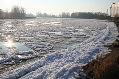 Rosslauer Elbe-Eiszeit